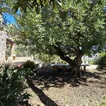Campus El Abuelo